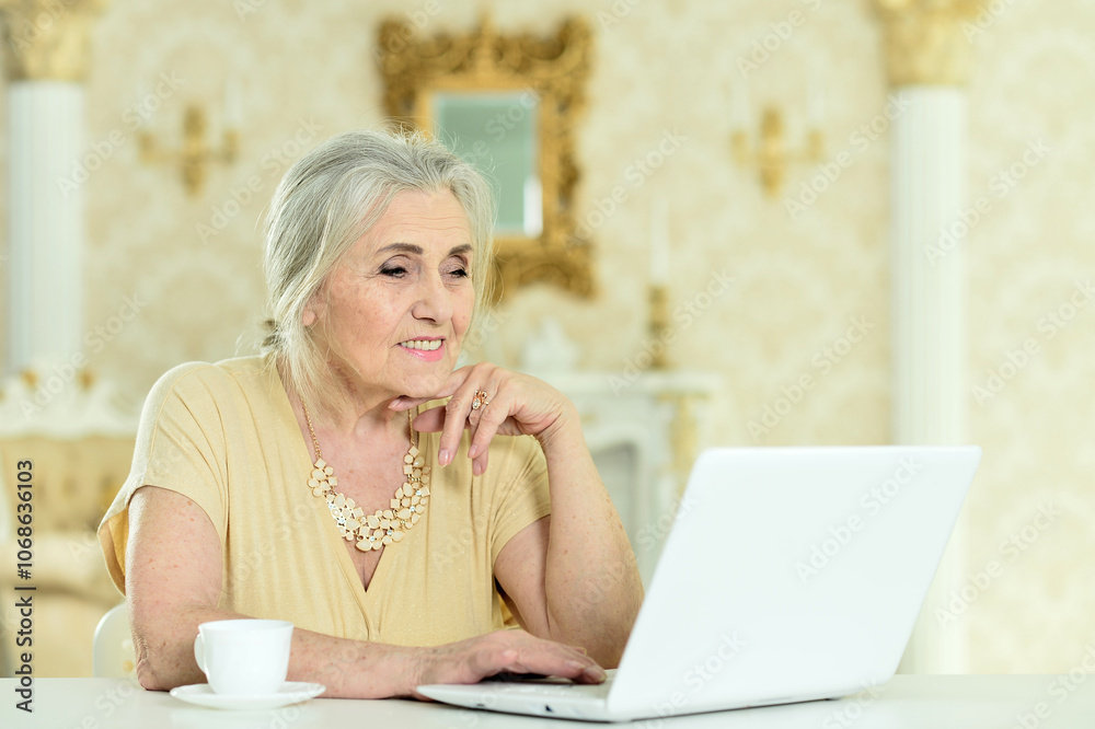 Beautiful elderly woman using a laptop at home Beautiful elderly woman using a laptop at home