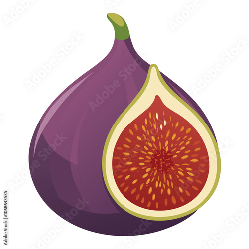 Fig vector illustration isolated on a white background