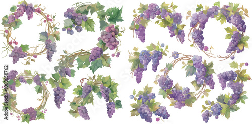 wreath vine with grape watercolor clipart