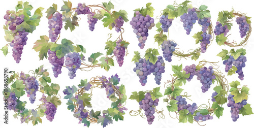 wreath vine with grape watercolor clipart