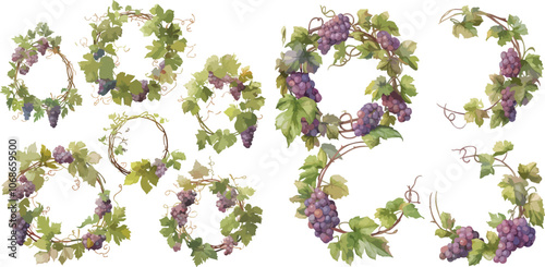 wreath vine with grape watercolor clipart