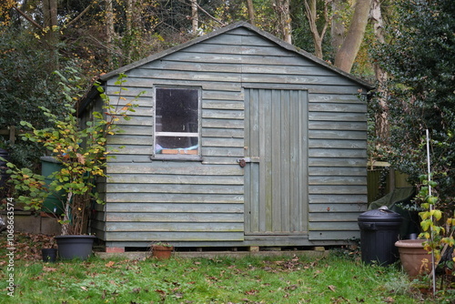 Fotografie A very Typical green English wooden garden shed in a leafy garden with trees behind