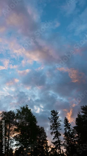 A beautiful summer morning in northern Sweden. Clouds are moving against a colorful sky over a forest of pine trees. Timelapse of nature at its finest. Altocumulus stratiformis clouds. Vertical video.