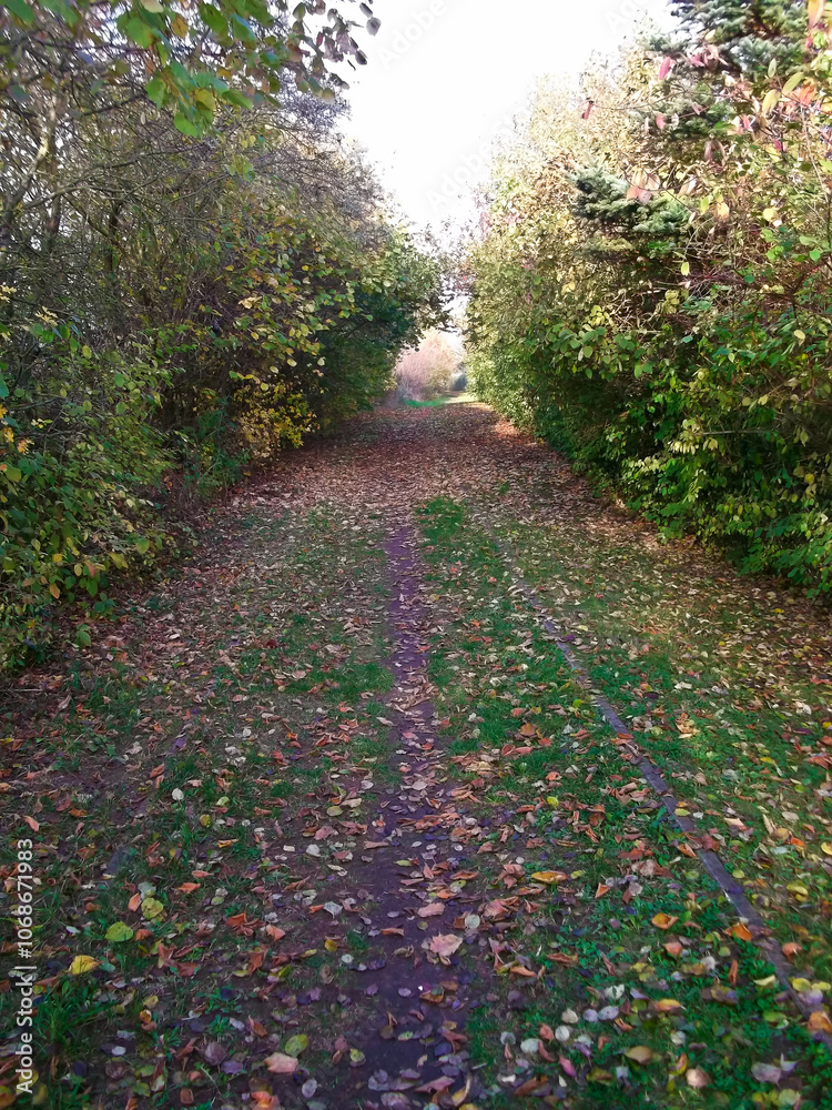 Naturlandschaft im Herbst in der schönen Uckermark