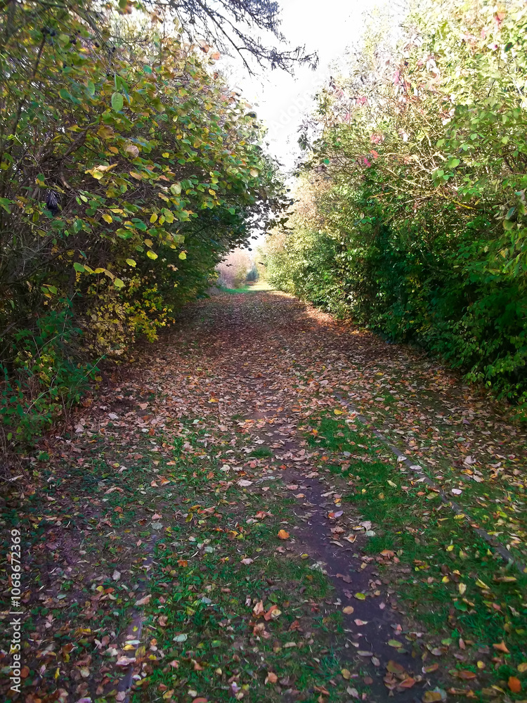 Naturlandschaft im Herbst in der schönen Uckermark