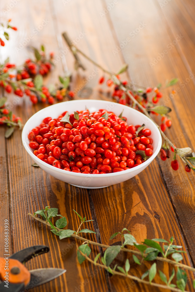 fresh ripe red goji berries in a bowl on a wooden table fresh ripe red goji berries in a bowl on a wooden table