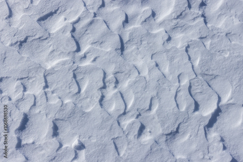 Wind-created patterns in snow crust