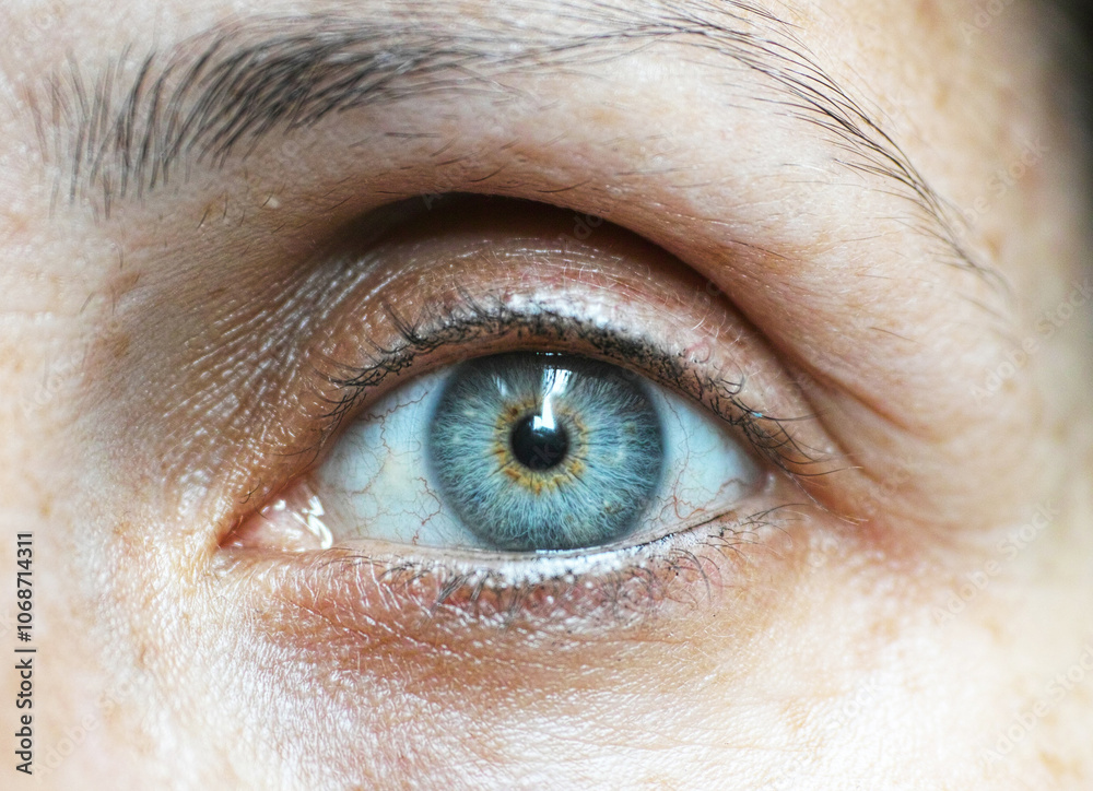 eyelash blue eyelash göz mavi eyelash blue eyelash göz mavi