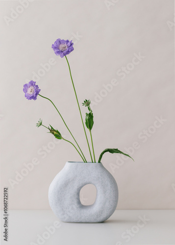 Purple scabious flowers displayed in a special vase. photo