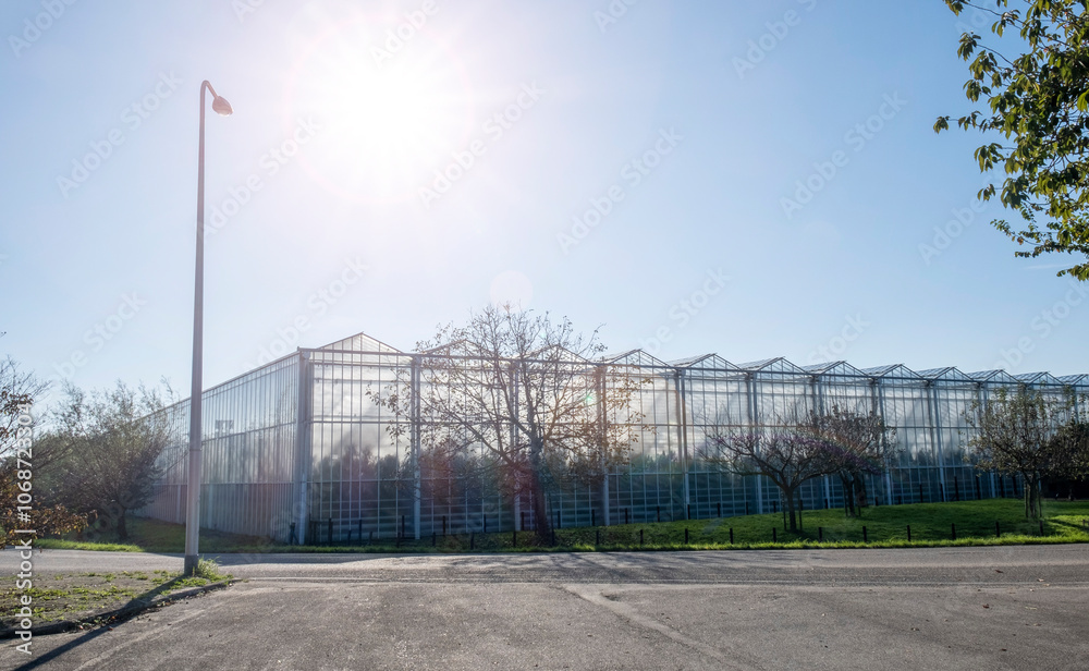 Greenhouse white blue sky sunshine modern Westland Netherlands Greenhouse white blue sky sunshine modern Westland Netherlands