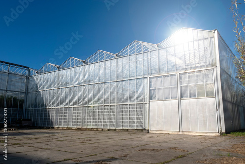 Greenhouse white blue sky sunshine modern Westland Netherlands