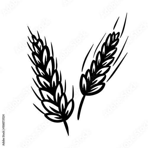Simple sketch two wheat sheaves gracefully sway, wheat grain ear, nature bread symbolizing harvest 
