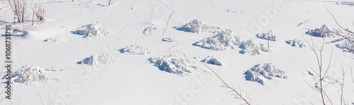 A branch covered in snow is laying on the ground