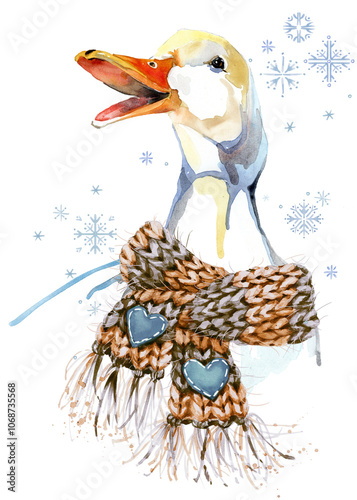 Goose with scarf illustration. Goose portrait watercolour drawing on transparent background winter Christmas