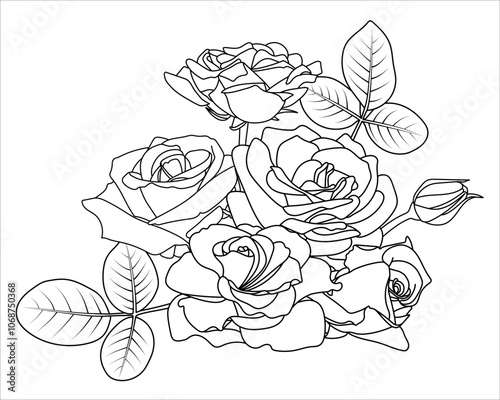 Floral Botanical Rose Composition. Roses, buds, leaves. Outline flowers bouquet. Design elements in contour style. Black on white. Coloring book page, Valentine, decor, cards, invitations