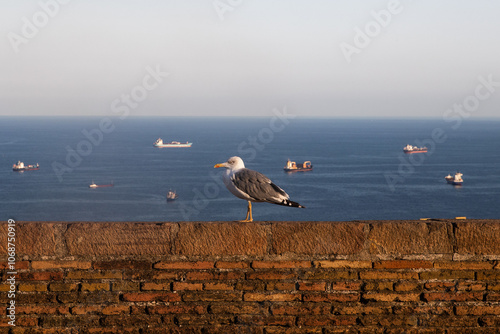 Obraz na płótnie A seagull perches on a stone wall, gazing across the calm sea filled with scattered ships under a bright sky. w salonie