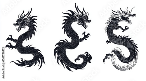 Three black dragons are shown in different positions photo