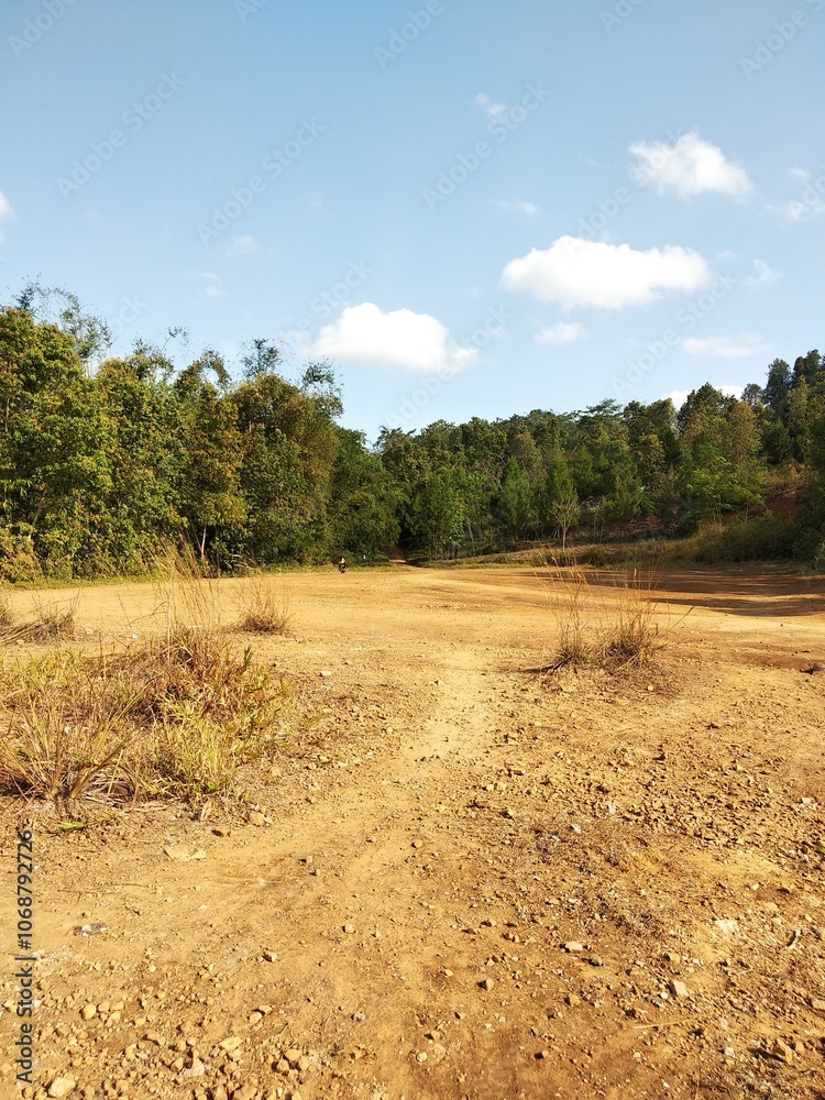Dry Landscape with Sparse Vegetation and Blue Sky Dry Landscape with Sparse Vegetation and Blue Sky