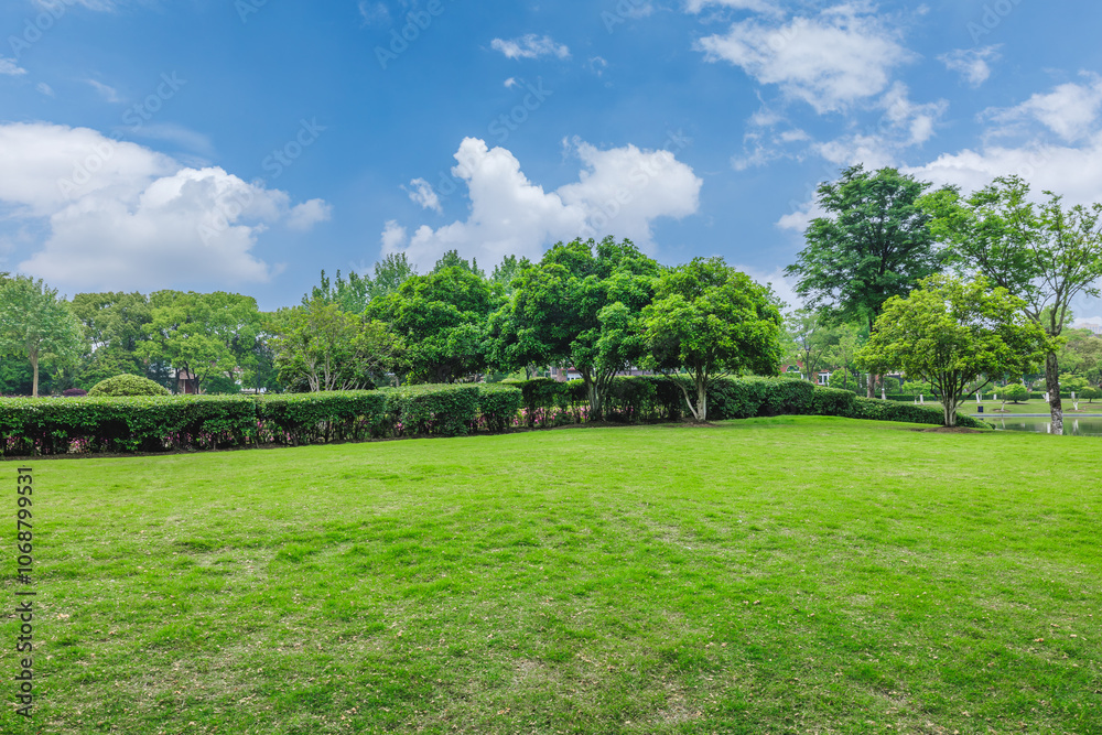 Grass and woods background in the park Grass and woods background in the park
