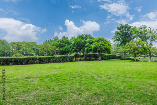 Grass and woods background in the park