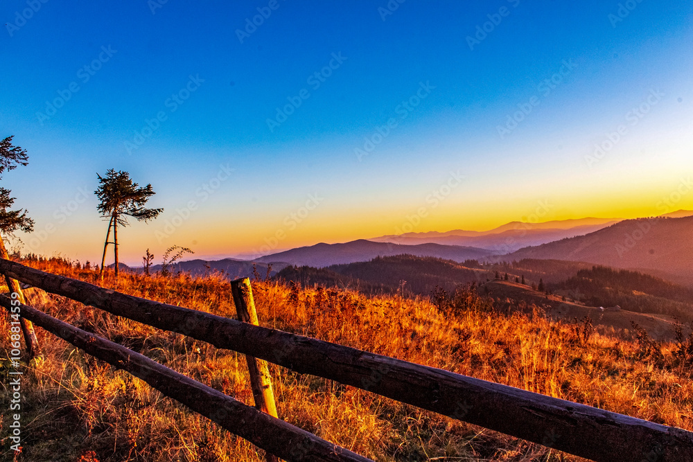 Landscapes - Forest - Europe, Romania, Suceava region Landscapes - Forest - Europe, Romania, Suceava region