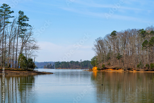 Obraz na plátně An inlet of the Chickamauga Lake in Harrison Bay State Park in Chattanooga, Tennessee features red clay shorelines with forests of bare winter trees and pines reflected in the calm waters