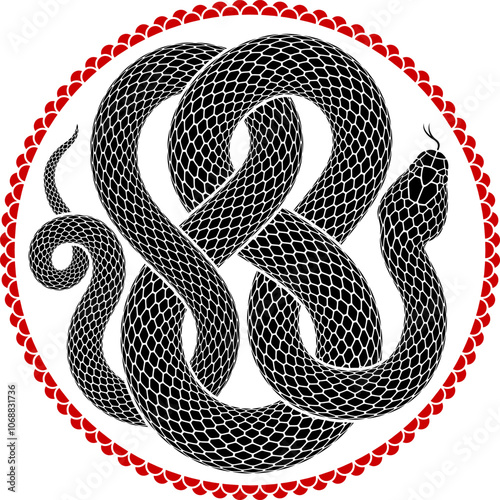 Vector illustration of a snake coiled to fill a circular shape. Isolated tattoo design of black serpent silhouette of round form.