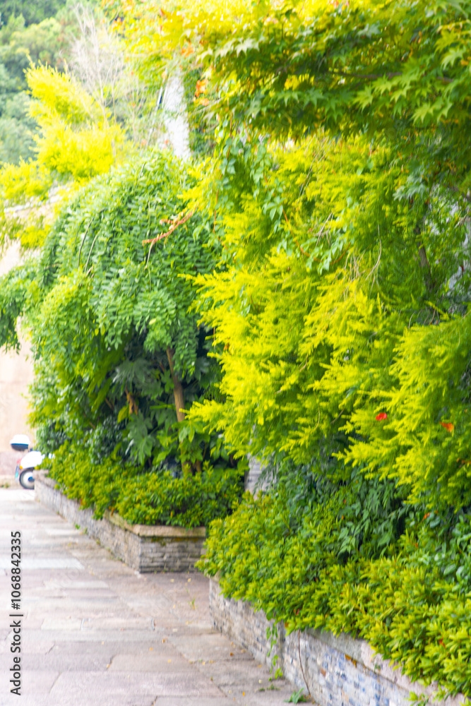 Obraz premium Taizhou City, Zhejiang Province - Classical garden scenery of Jiangnan ancient town