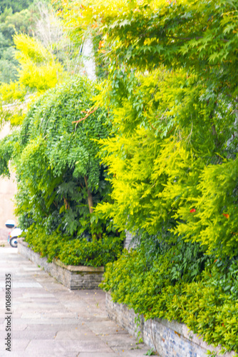 Taizhou City, Zhejiang Province - Classical garden scenery of Jiangnan ancient town