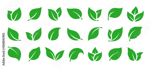 Green leaves icons set isolated on white background vector illustration. Vegan, tree, plant, fresh, energy and healthy nutrition concept.