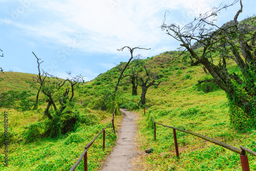 Lomas de Lachay, a National Reserve near Lima, ideal for exploring trails, observing wildlife and enjoying nature and outdoor walks. photo