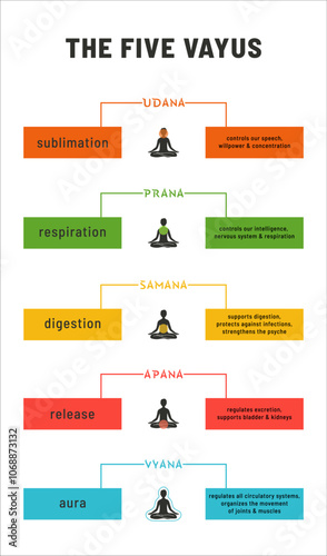 Five Vayu in Yoga Vector Infographic