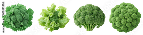 Four distinct varieties of green vegetables, showcasing their unique shapes and textures.