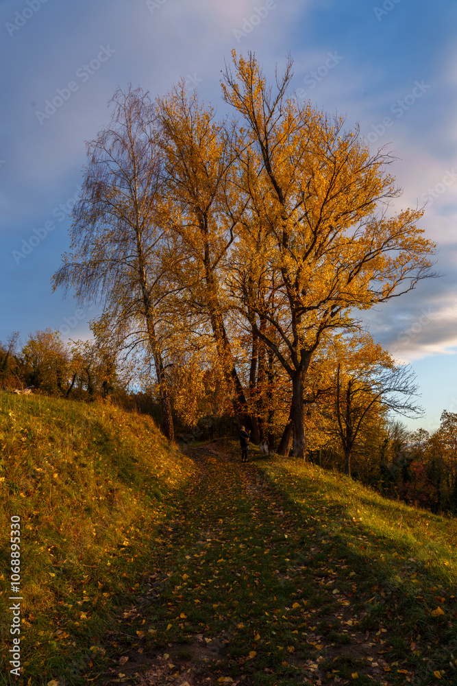 Ein Wanderweg im Herbst Ein Wanderweg im Herbst