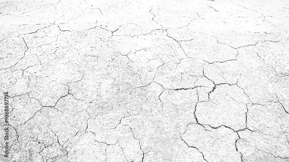 Fototapeta premium cracked dry soil texture background.
