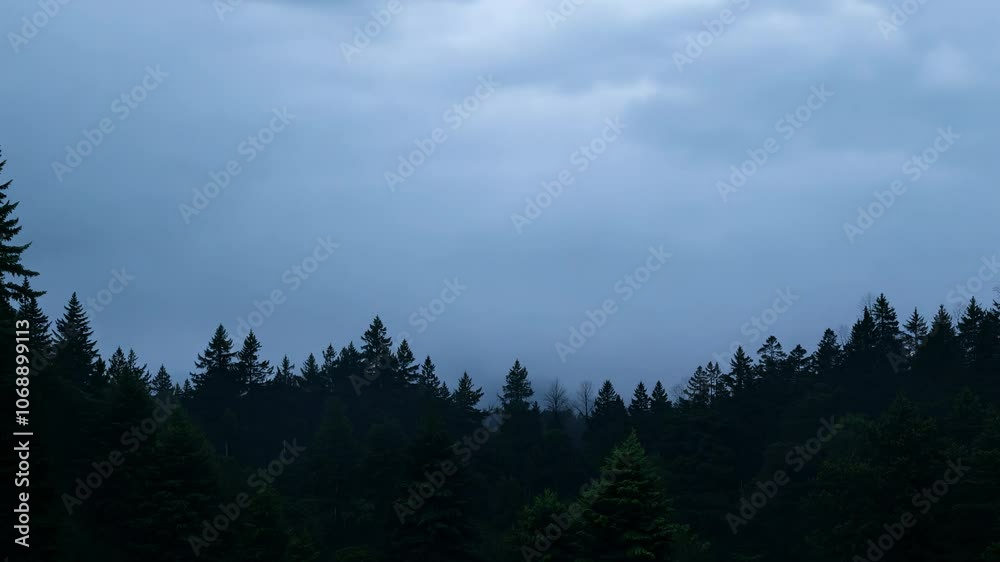 Camera captures a majestic old-growth forest as wind whips through the trees before an approaching storm, with lightning illuminating the scene Camera captures a majestic old-growth forest as wind whips through the trees before an approaching storm, with lightning illuminating the scene