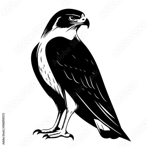 Stylized vector illustration of a falcon standing proudly, showcasing its distinctive features and posture, ideal for nature enthusiasts and wildlife art lovers