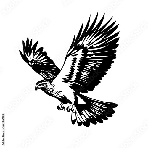 A striking black and white vector illustration of a soaring hawk, displaying its majestic wingspan while gliding through the sky, symbolizing freedom and natural beauty