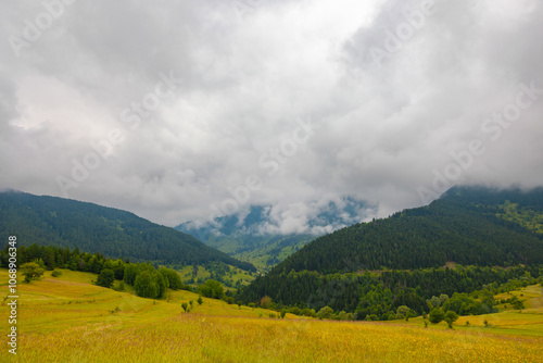 Moody forest covered misty mountains and meadow. photo