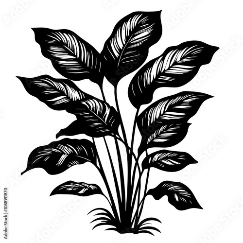 A detailed vector illustration of a lush tropical plant with broad leaves, displaying intricate textures and bold shapes, highlighting the natural beauty of foliage