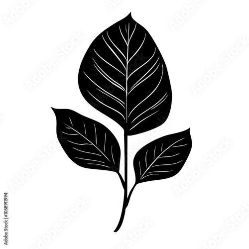 Stylized black leaf design featuring intricate vein patterns captured in vector format, showcasing the natural beauty of foliage in a minimalistic style