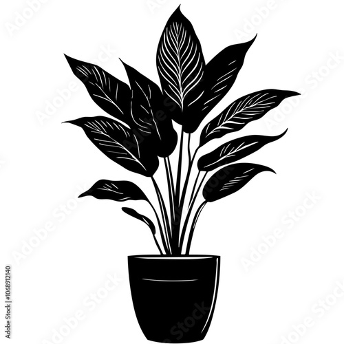 Stylized vector illustration of a lush tropical plant in a sleek black pot, showcasing its intricate leaf details and graceful form, perfect for decorative design and botanical themes