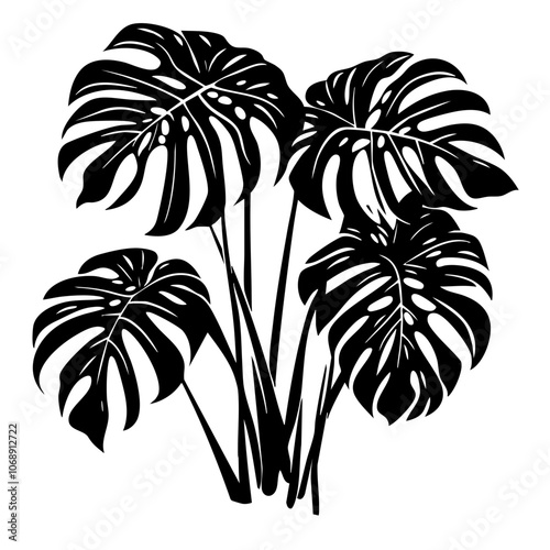 Stylish black vector illustration of lush tropical monstera leaves gracefully arranged in a natural cluster, perfect for botanical designs or interior decoration