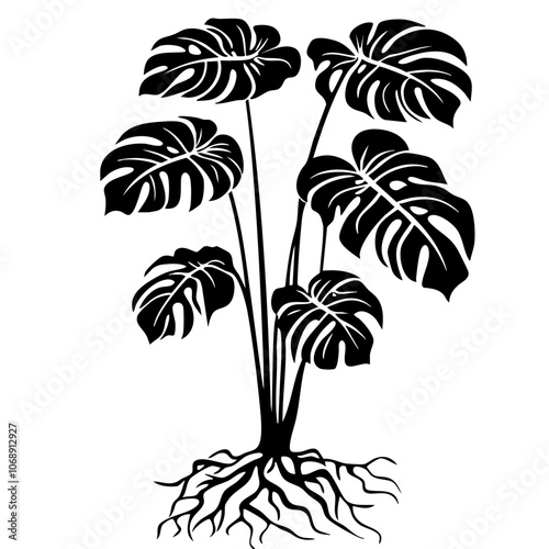A cluster of tropical monstera leaves with intricate detailing showcases the beauty of nature's foliage in a harmonious design that emphasizes organic roots and growth
