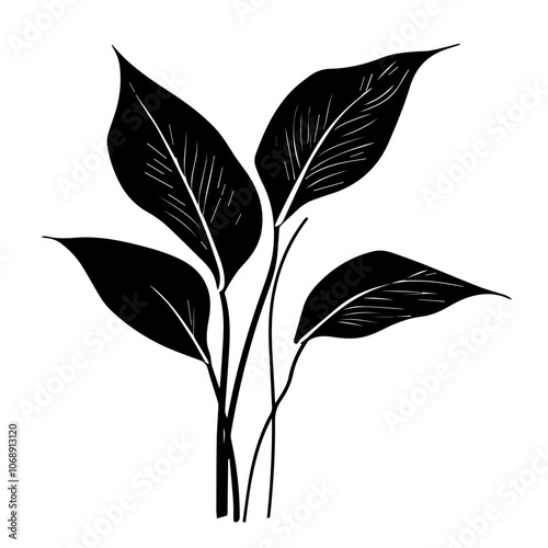 Elegant peace lily vector illustration featuring stylized leaves that embody grace, tranquility, and the essence of indoor plant decor for modern living spaces