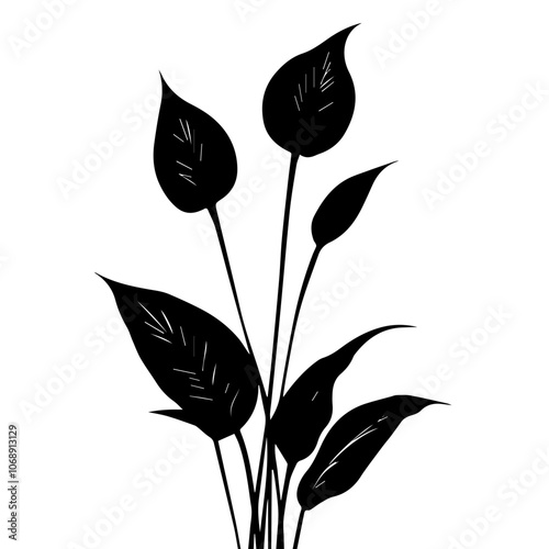 Elegant peace lily illustration with multiple foliage elements showcasing the distinct shape and texture of its leaves against a minimalist backdrop