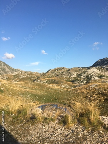 Expansive Mountain Landscape with Clear Blue Sky in Durmitor, Montenegro