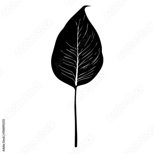 A detailed vector illustration of a peace lily leaf showcasing its distinctive shape and intricate veining, ideal for botanical designs and plant-themed artwork