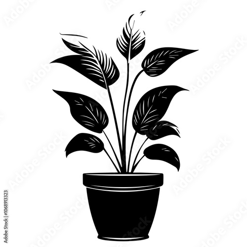 Elegant peace lily in a simple pot displaying its lush green leaves and delicate white blooms, perfect for home decoration or botanical illustrations