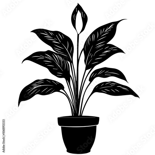 Stylized vector illustration of a peace lily plant in a pot showcasing detailed leaves and elegant flower buds for decorative purposes in various settings